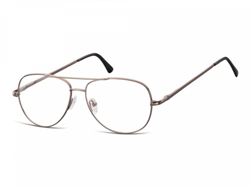 Berkeley Computer brille 790A