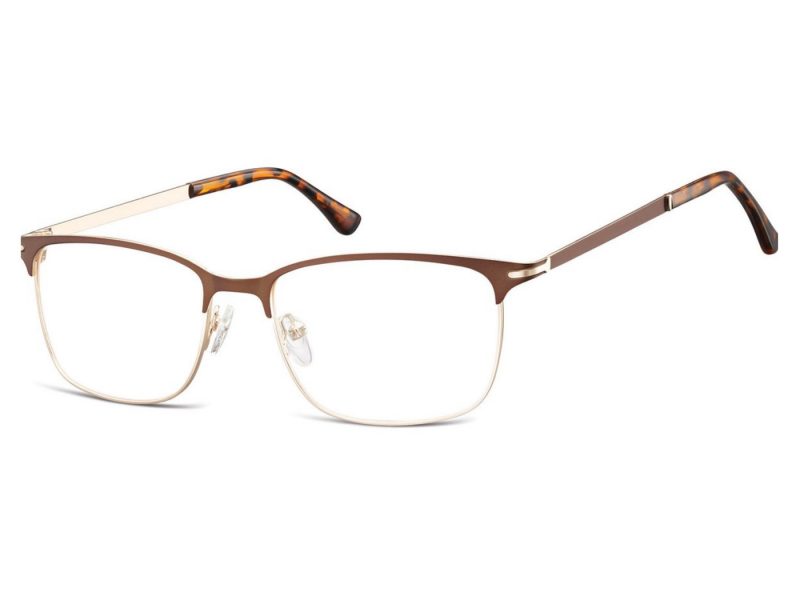 Berkeley Computer brille 899E