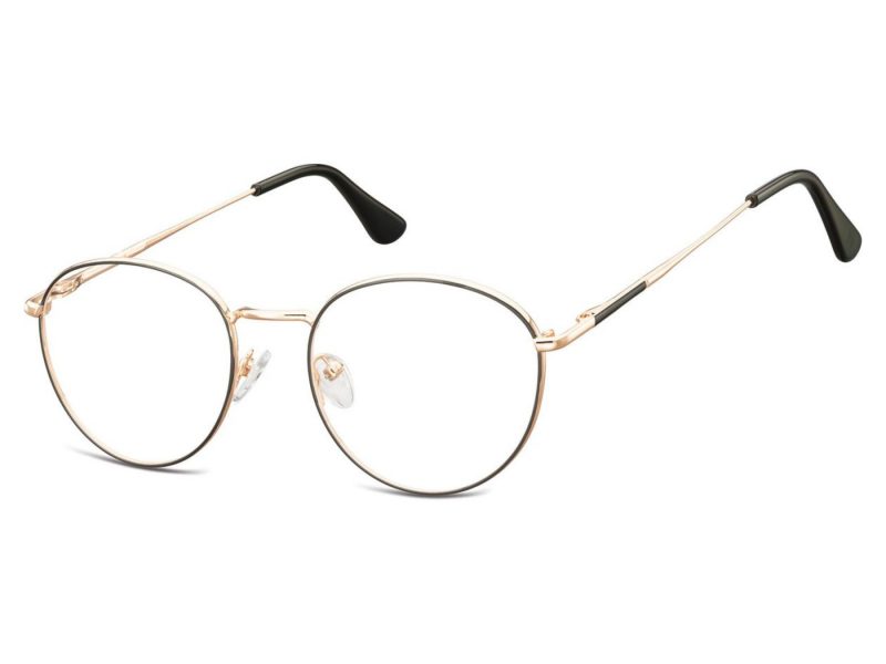 Berkeley Computer brille 901A