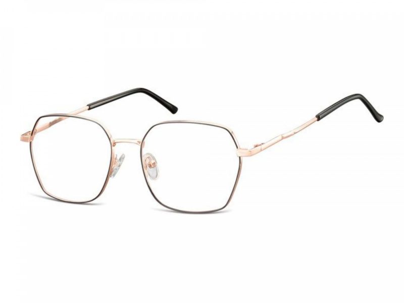 Berkeley Computer brille 913B