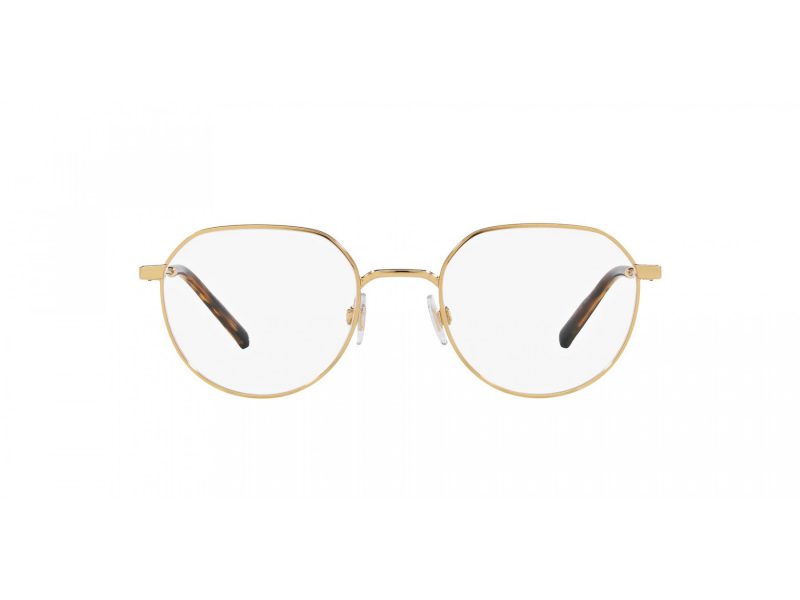 Dolce & Gabbana Brillen DG 1349 02