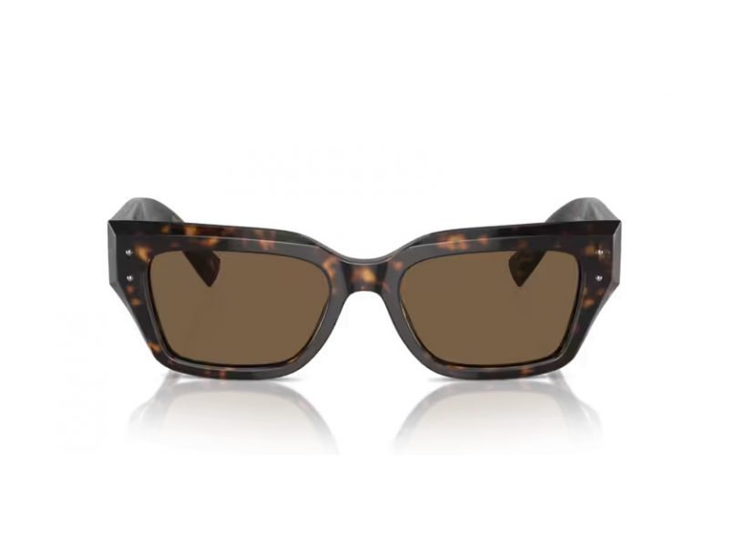 Dolce & Gabbana Sonnenbrille DG 4462 502/73