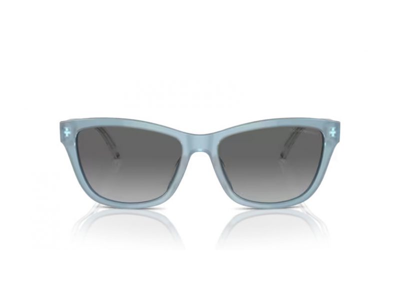 Emporio Armani Sonnenbrille EA 4227U 609611