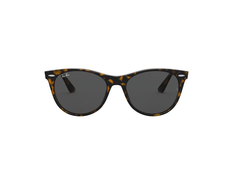 Ray-Ban Wayfarer Ii Sonnenbrille RB 2185 1292/B1