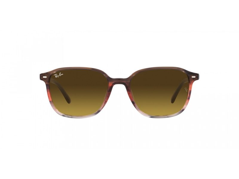 Ray-Ban Leonard Sonnenbrille RB 2193 138085