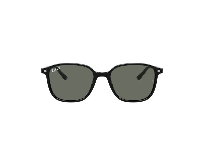 Ray-Ban Leonard Sonnenbrille RB 2193 901/58