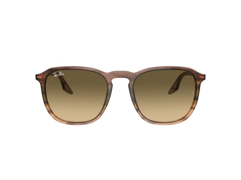 Ray-Ban Sonnenbrille RB 0RB2203 13920A