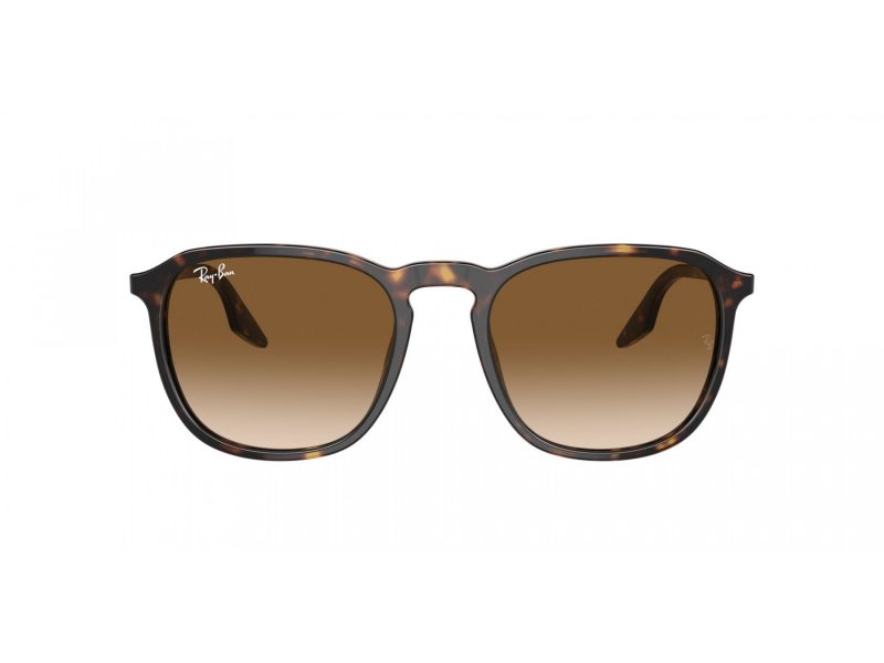 Ray-Ban Sonnenbrille RB 2203 902/51