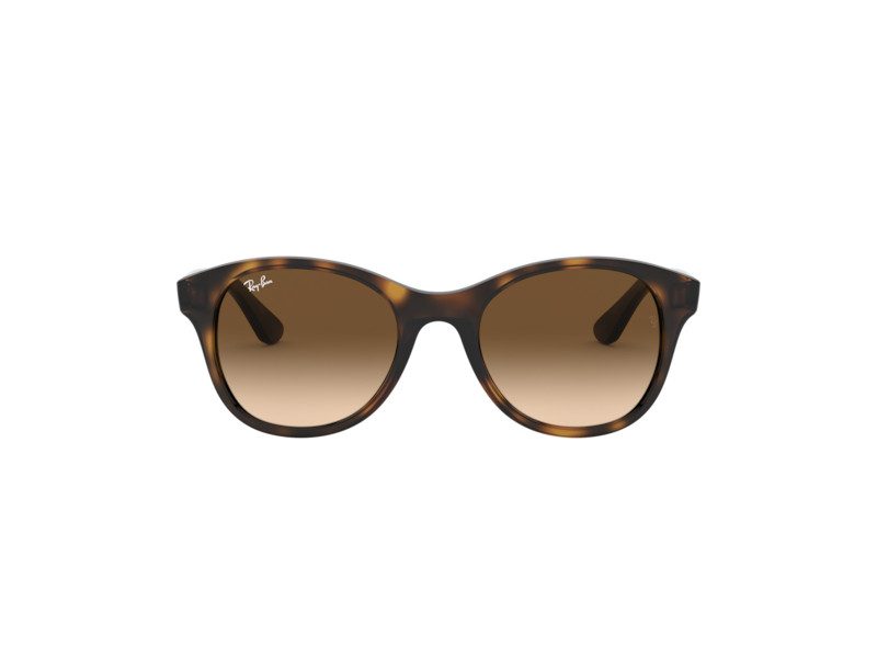 Ray-Ban Sonnenbrille RB 4203 710/13