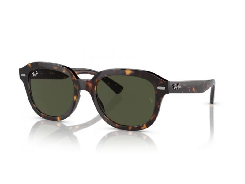 Ray-Ban Erik Sonnenbrille RB 0RB4398 902/31