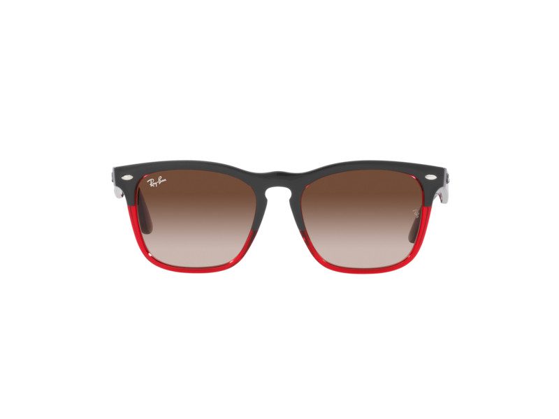 Ray-Ban Steve Sonnenbrille RB 4487 6631/13