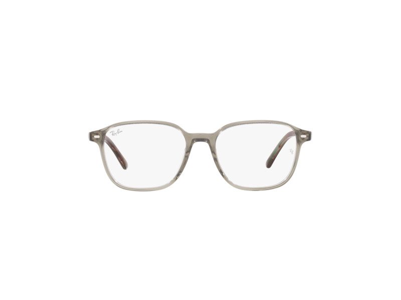 Ray-Ban Leonard Brillen RX 5393 8178